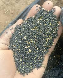 Graines d'oignons biologiques en gros à vendre - Product Image 4