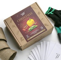 Boîtes cadeaux en kraft blanc biodégradables et recyclables écologiques personnalisées pour les graines et les colis de plantes
