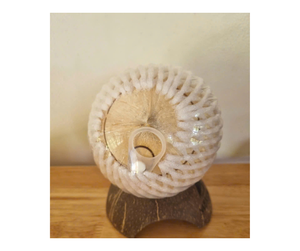 Coco Rallado en Diamante de Alta Calidad de Vietnam para Compradores de Exportación - Coco Rallado en Diamante de Corte Suave y Fácil de Abrir para Tiendas de Bebidas - Product Image 6