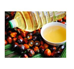 Buy Palm Oil and Pure <b>Plant</b> Oil in Bulk Affordable Price Premium Quality Edible Oil for Sale from Reliable Exporter Available - Product Image 2