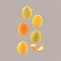 Realistische citrusvrucht siliconen mal voor taartdecoratie, goede kwaliteit, voor binnengebruik, 30x29H35 mm
