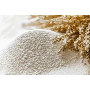white flour for all purpose wheat flour in 25kg 50kg bags for