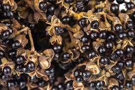 Pimienta vietnamita de Sichuan, alta calidad, ingrediente familiar asequible - Product Image 4