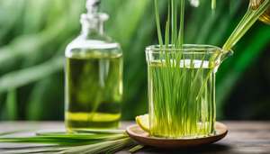 Fabricants et fournisseurs d'huile essentielle de citronnelle, huile essentielle pure à usage aromatique, exportateur, meilleure qualité, distillation à la vapeur, GMP - Product Image 3