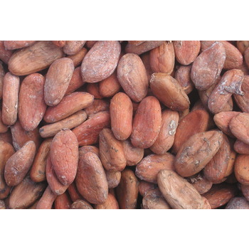 Органические необработанные какао-бобы, экспорт в ЕС, США, ОАЭ и т. Д., высококачественный какао-порошок для приготовления шоколада по дешевой цене, какао бобы в темноте