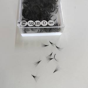 Nuevo y caliente estilo coreano Pbt fibra 1000 caja 0,03mm a 0,20mm 12D ventiladores Promade sueltos hechos en Vietnam - Product Image 5