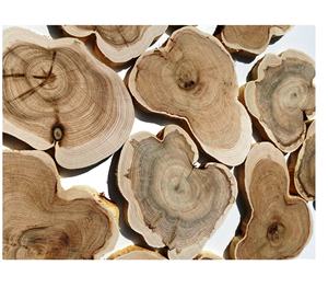 Juego de Posavasos de Madera, Salvamanteles Naturales y Sostenibles para Decoración Moderna del Hogar y Protección Diaria de la Mesa - Product Image 5