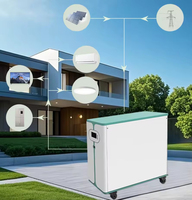Sistema de Almacenamiento de Energía Solar para el Hogar con Batería de Litio-Ferrofosfato (LiFePO4) con Ruedas, 51.2V 300Ah 15.36kWh, con WiFi, Suministro Directo de Fábrica