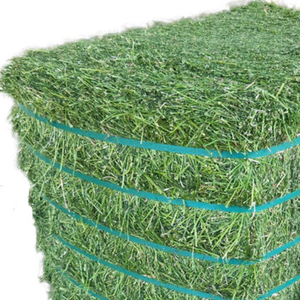 Alfalfa al Mejor Precio en Venta, Heno de Alta Calidad Apto para Ganado, Caballos, Vacas, Conejos y Compradores Mayoristas - Product Image 1