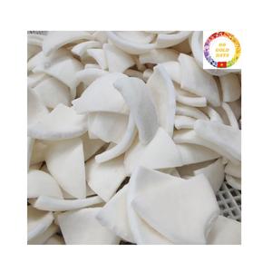 Carne de coco seca vietnamita de Grado Superior Ideal para la industria de panadería y aperitivos - Product Image 1