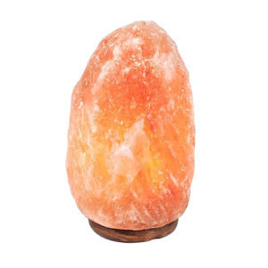 Dernière collection de lampes en sel de l'Himalaya, style unique, vente directe d'usine, artisanat naturel - Product Image 1