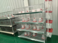 Système de cages à poulets en batterie 3, 4 ou 5 niveaux pour ferme avicole commerciale