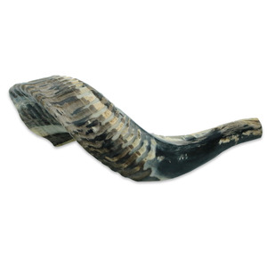 Prix unitaire de gros Corne de bélier moyenne Shofar casher poli fabriqué en israël Corne de kudu à vendre - Product Image 3