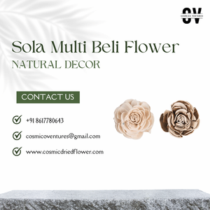 Flor de Sola Multi Beli hecha a mano de buena calidad para boda, evento, hogar, oficina, decoración y arreglo de flores secas - Product Image 2