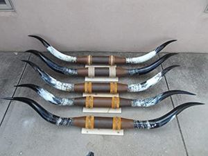 Corne montée sur buffle Décoration de maison rustique unique Corne de vache Support mural de style animal indien - Product Image 2