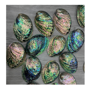 Coquilles d'ormeau utilisées pour l'emballage cadeau personnalisé Les coquilles d'ormeau apportent une présentation d'inspiration marine - Product Image 2