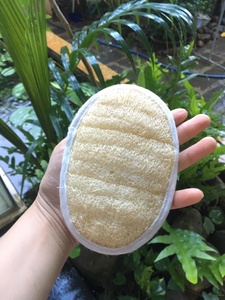 Esponja exfoliante Biodegradable para baño, almohadillas de esponja de Luffa, 100% Natural - Product Image 5