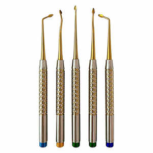 Bernard Spade Tip Elevators Set Acero inoxidable CE Certificado Clase I Instrumentos quirúrgicos dentales - Product Image 3