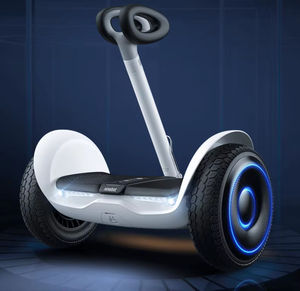 Ventes d'usine Segway Ninebot L8, scooters électriques auto-équilibrés intelligents pour enfants et adultes - Product Image 4