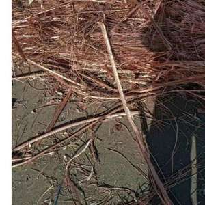 Cable de Cobre Económico de 0.20-12.00mm, 99.99% Cobre Puro, Cable de Cobre Esmaltado, Cable de Cobre Puro Desnudo en Venta a Precio de Fábrica - Product Image 3