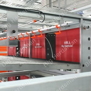 Sistema <span class=keywords><strong>de</strong></span> Jaulas para el Bienestar <span class=keywords><strong>de</strong></span> la Aves <span class=keywords><strong>de</strong></span> Corral con Estructura <span class=keywords><strong>de</strong></span> Zinc, Aluminio y Magnesio y Recolección Automática <span class=keywords><strong>de</strong></span> <span class=keywords><strong>Huevos</strong></span>, Certificado CE - Product Image 3