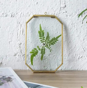 Top Seller Hanging Brass Border <b>Glass</b> <b>Photo</b> <b>Frame</b> Antique Gold Color Living Room Wall Decor Flower Artwork <b>Glass</b> <b>Frame</b> - Product Image 2