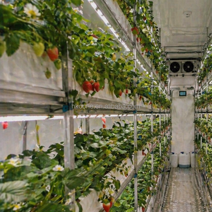 Système de culture verticale hydroponique pour fraises en conteneur, équipement d'agriculture intelligente pour la culture commerciale de fraises - Product Image 2