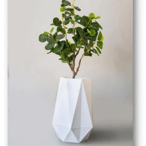 Jardinière en pierre blanche de diamant avec petite plante de Ficus pour la décoration de jardin Pot de fleur et jardinière de qualité supérieure - Product Image 1