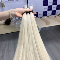 Meilleures ventes Perruque très demandée MOQ Premium Cheveux humains vietnamiens 100% en vrac Prêt à expédier Prix de vente au détail et de gros direct usine Vietnam Prix argenté