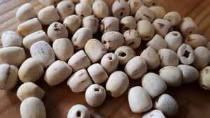 Semillas de loto blanco de alta calidad para la salud y la excelencia culinaria, de origen natural, disponibles ahora en Vietnam para una entrega rápida - Product Image 2