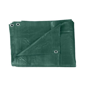 Telone in PE Pesante con Occhielli Verde 2x3 m 110g - Product Image 1