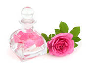 Exportateur indien de confiance propose de l'eau de rose sauvage de qualité cosmétique, extrait liquide d'herbes, emballage sous vide OEM/ODM, le meilleur