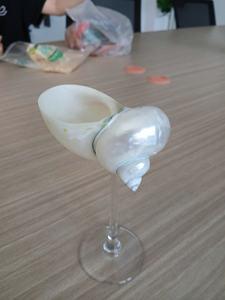 Copa de Caracol Copa de conchas marinas para arreglos artísticos La copa de Caracol le da a tu interior un carácter costero - Product Image 6