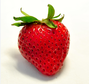 Top Grade 100% Fraises biologiques de haute qualité Meilleure vente de fruits frais de France 10kg Livraison rapide Prix peu coûteux - Product Image 1