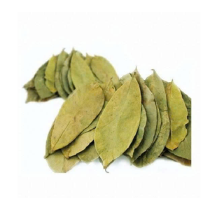 Hojas de Guanábana secas de Vietnam Premium Hojas de Guanábana secas utilizadas en la producción de la fábrica de té de Graviola - Product Image 1
