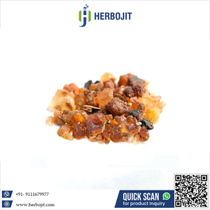 ผลิตภัณฑ์ใหม่ที่กําหนดเองสมุนไพรธรรมชาติ Guggal (Commiphora mukul) ในราคาต่ําสุดจากซัพพลายเออร์ขายส่ง - Product Image 6