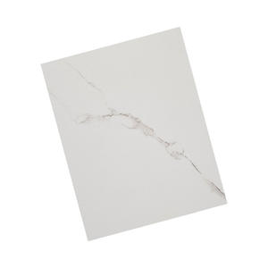 Paneles de Pared Premium Resistentes al Agua, al Fuego y Ecológicos, Duraderos, Geométricos, Resistentes a los Arañazos, de PS WOOJOOWELLBOARD para Interiores - Product Image 1