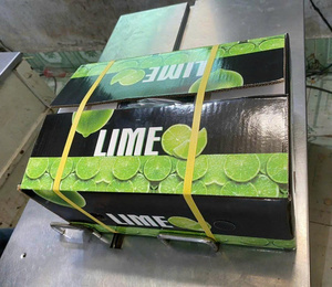 Listo Para Enviar Fresco Sin Semillas Limón Lima Vietnam Mayorista Exportación - Product Image 5