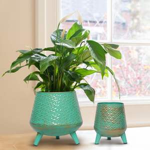 Design élégant Design personnalisé Pot doré brillant pour les plantes tenant dans la décoration de jardin Pot de support de jardinière de fleurs en vente supérieure - Product Image 4