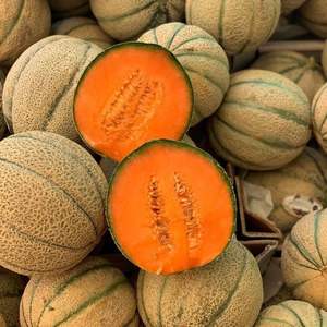 Melones Cantalupo Frescos Naturales de Primera Calidad - Alta Dulzura (Brix) - Melones Musk de Grado de Exportación a Granel - Product Image 5