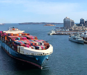 Shanghai vers les États-Unis LCL + Express Ocean Shipping Tarif DDP Paquet complet avec - Product Image 6