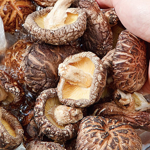 เห็ดหอมอบแห้ง - Product Image 1