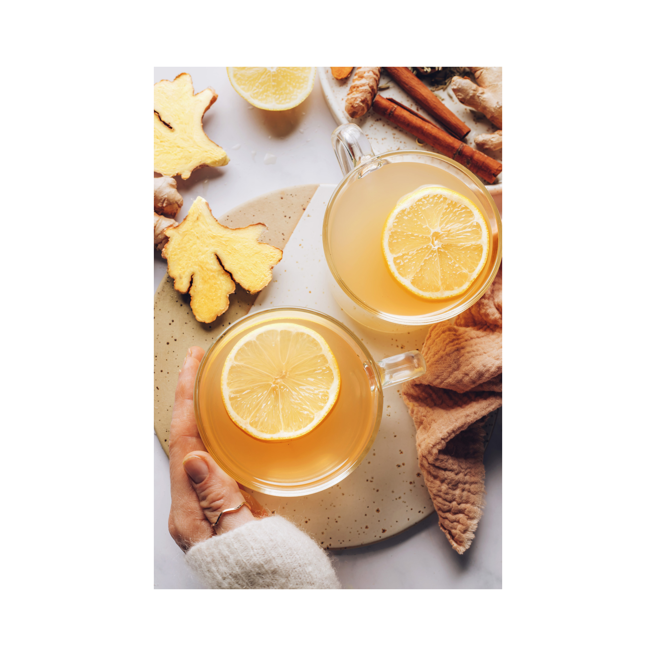 High Quality Organic Fresh Ginger in Bulk Wholesales
