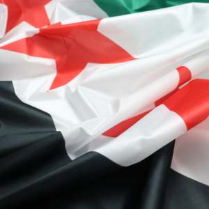 New Custom World <b>Flag</b> 3x5ft Syrian <b>Pole</b> <b>Flag</b> Digital Printing Polyester Silk Aluminum Fiberglass Flagpole Pennant Style Display - Product Image 2