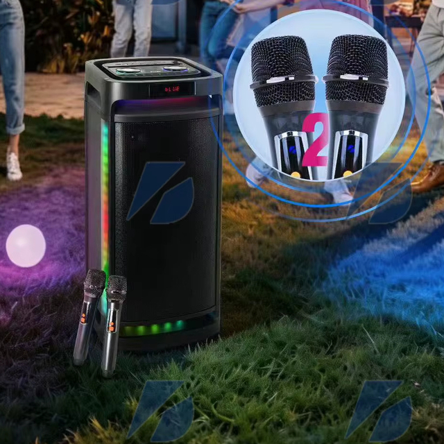 Dual10-Inch Outdoor Wireless for Boombox High-Power RGB LED Lighting Karaoke Party Speakers with APP Support Brodu