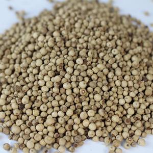 Pimienta Blanca Natural Premium de Alta Calidad a la Venta al por Mayor con Manipulación y Envío Seguros - Product Image 3