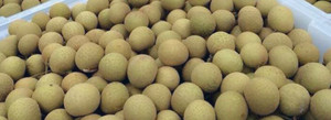 Proveedores de longan dulce sin semillas, congelador, bajo precio - Product Image 6