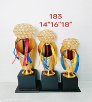Trophée Crystal Cricket Sports Award à forte demande pour les tournois et événements scolaires de championnat