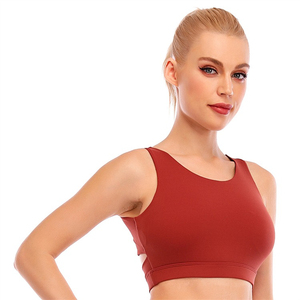 2025 beau dos Fitness femme haute résistance antichoc femmes Yoga soutien-gorge débardeur sport soutien-gorge intégré rembourré - Product Image 1