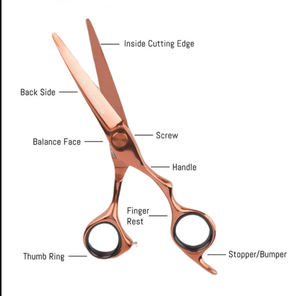 Ciseaux de coiffure professionnels en acier inoxydable de haute qualité cisailles de coupe de cheveux de sécurité pour outils de salon de coiffure beauté - Product Image 4